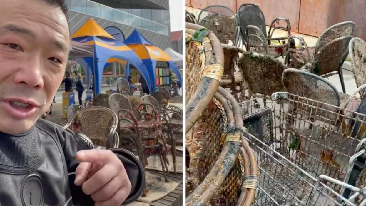 These TikTok Videos Show All Kinds Of Nasty Garbage Being Pulled From Vancouver Waters