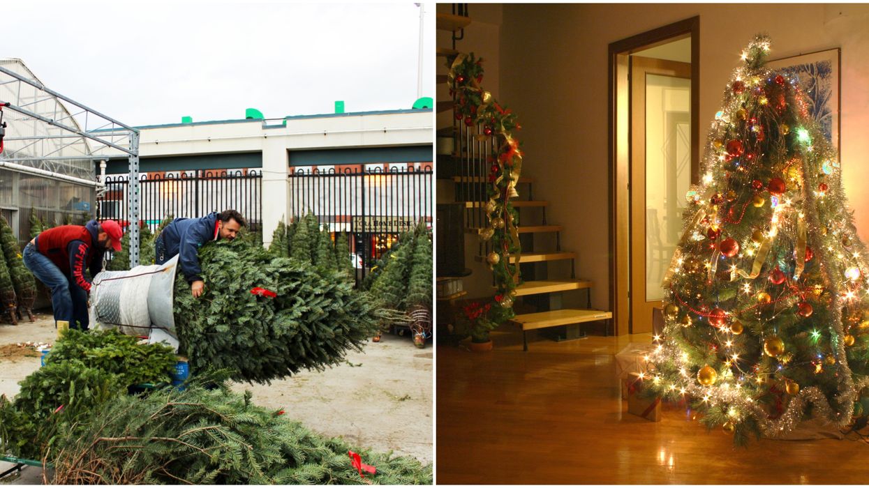 These Toronto Christmas Tree Delivery Services Are Just Too Convenient To Say No To