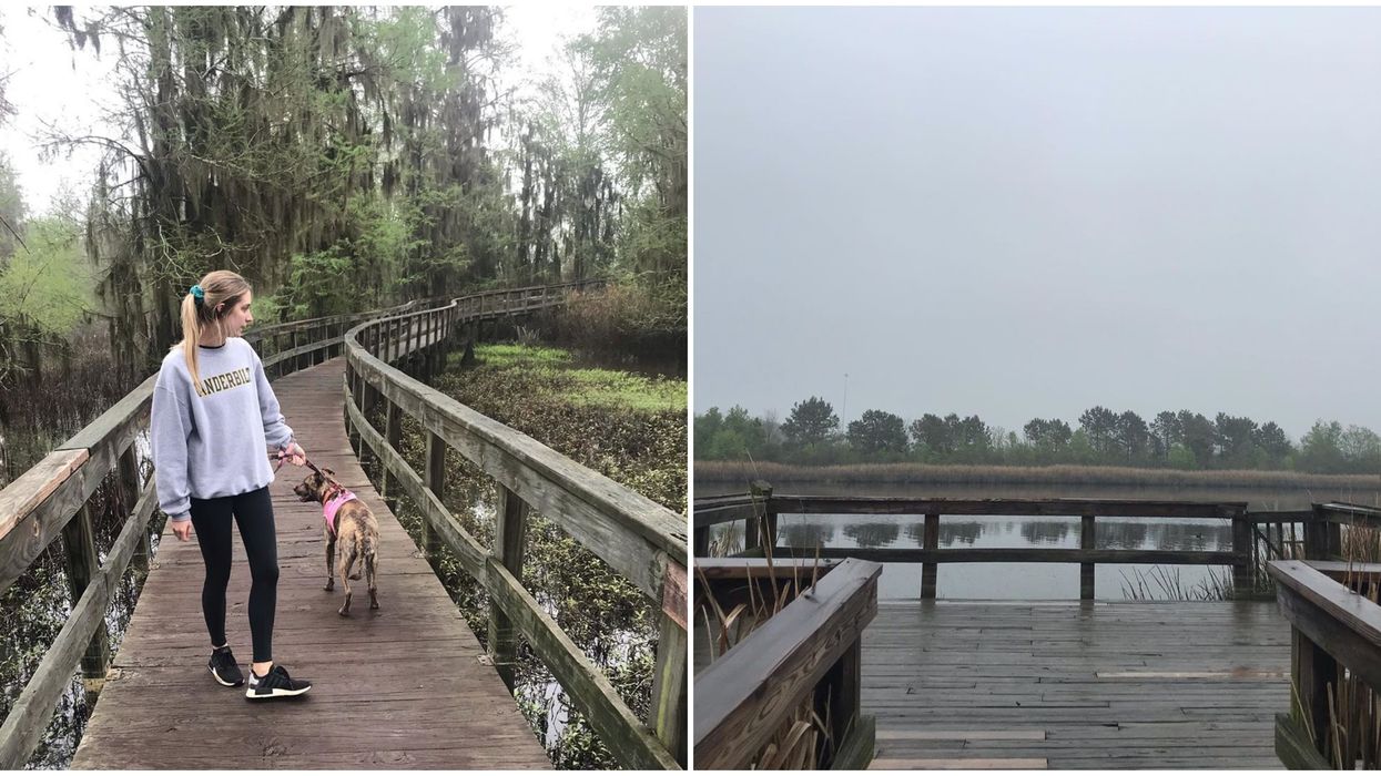 Things To Do In Augusta Include Exploring Phinizy Swamp For An Enchanting Adventure