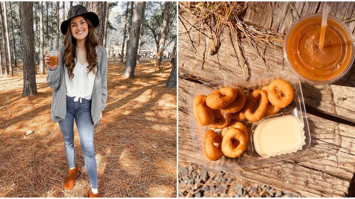 Things To Do In North Carolina This Fall At Millstone Creek Orchards