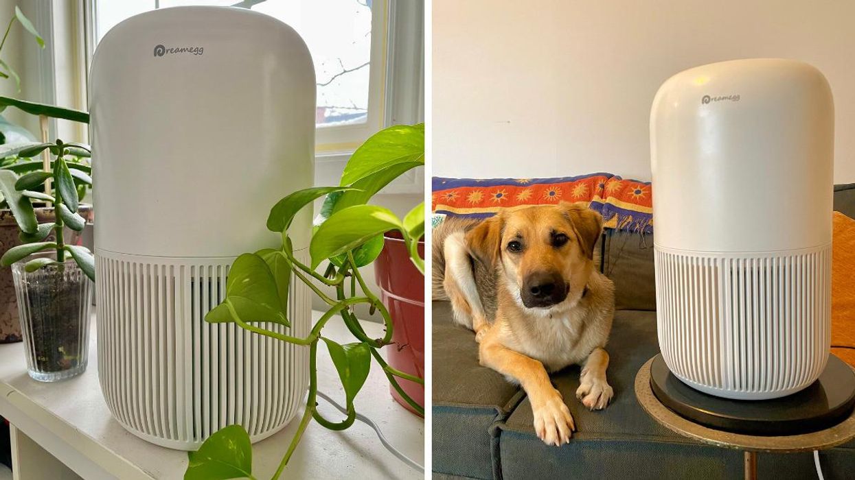 This Air Purifier On Amazon Canada Is $80 Off & Reviewers Couldn't Recommend It Enough
