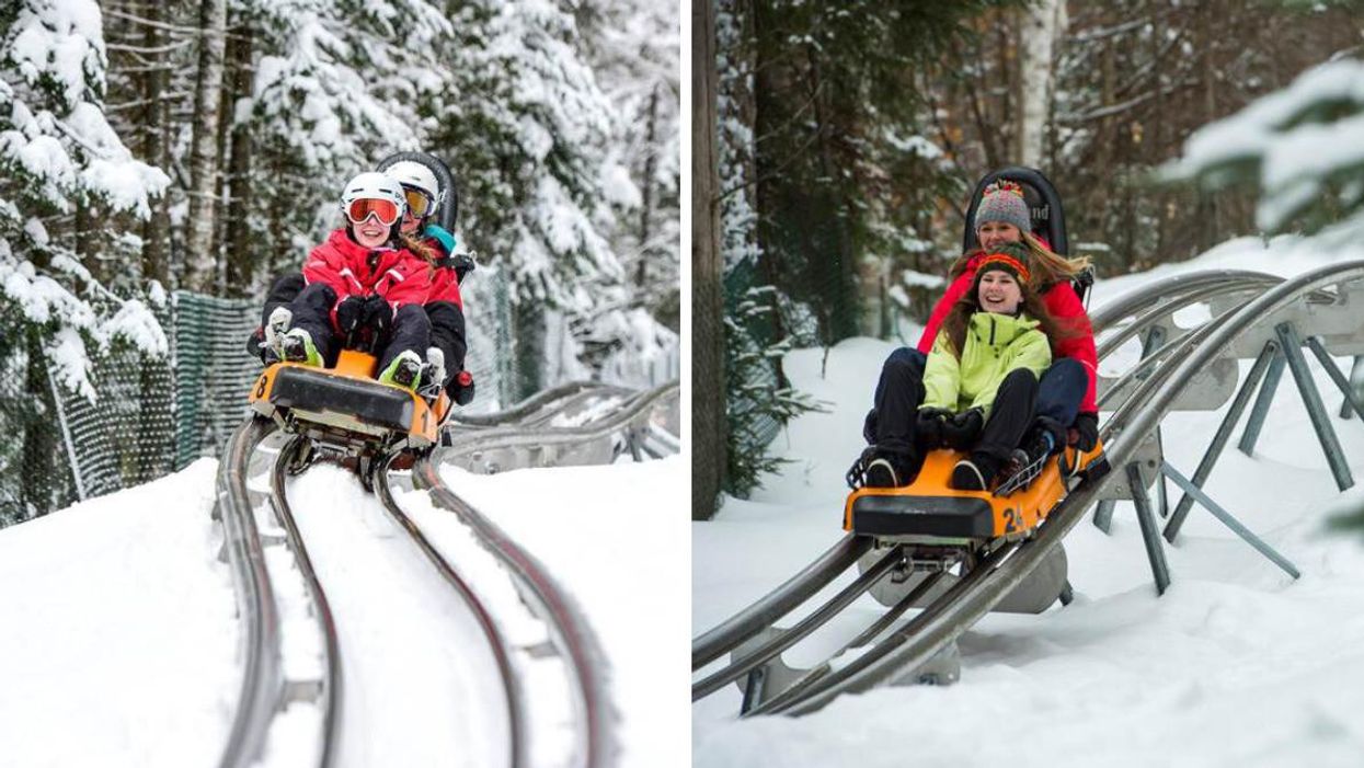 This Alpine Roller Coaster Near Ottawa Lets You Race Down The Slopes At Up To 35-km/hr