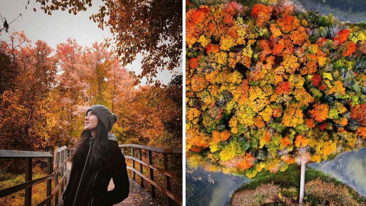 This Beautiful Trail Near Toronto Takes You Along Leafy Boardwalks & Across A Shining Lake