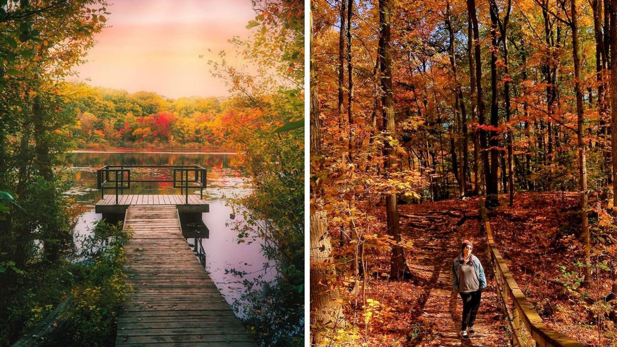 This Boardwalk Trail In Ontario Leads To A Floating Lookout Surrounded By Fall Colours