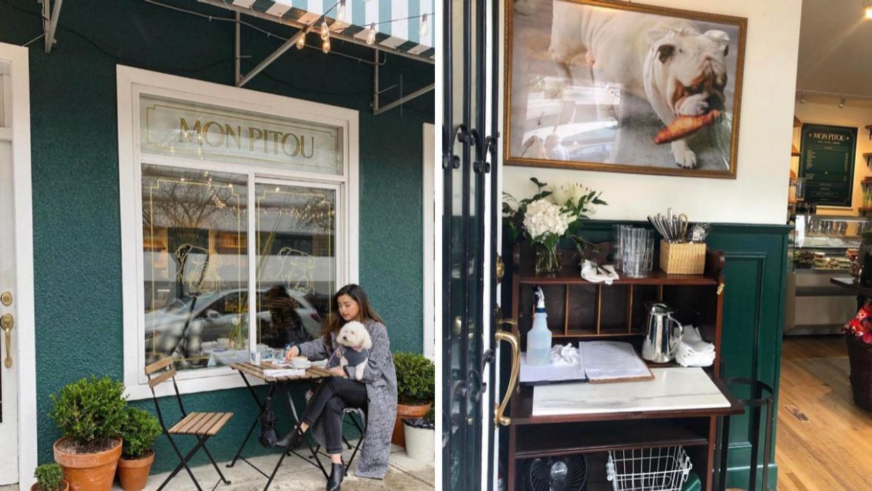 This Cafe In Vancouver Is Like Taking A Trip To Paris & There Are Dogs Everywhere