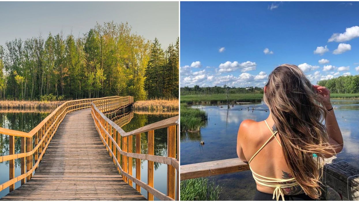 This Conservation Area Near Toronto Takes Peaceful Boardwalk Paradise To New Levels