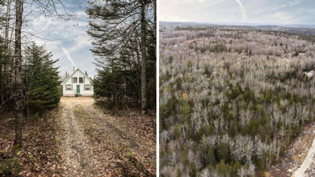 This Cozy House For Sale In Nova Scotia Has 94 Acres Of Wild Woodland & Costs Just $330K