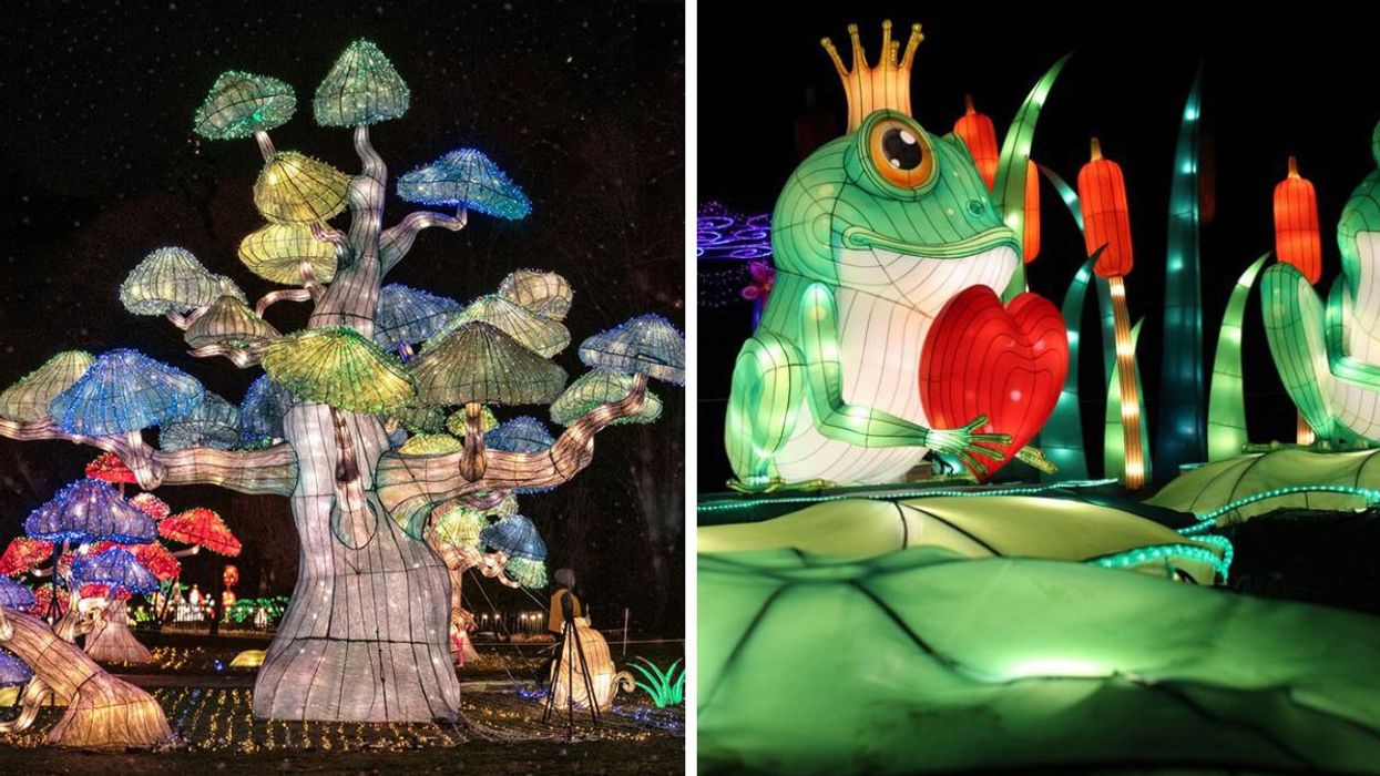 This Dazzling Niagara Light Show Lets You Explore Lantern-Lit Trails & A Glowing Rainforest
