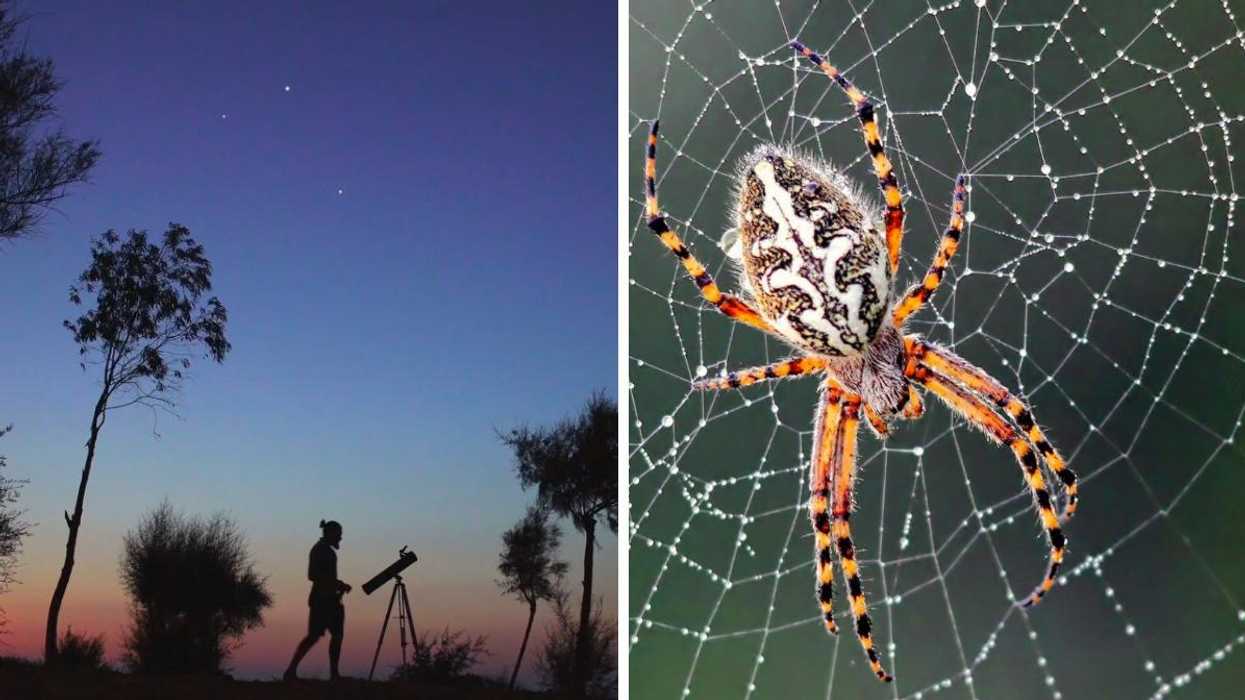 This Documentary Streaming Service Can Give You Hours Of Mind-Blowing Content Over The Holidays