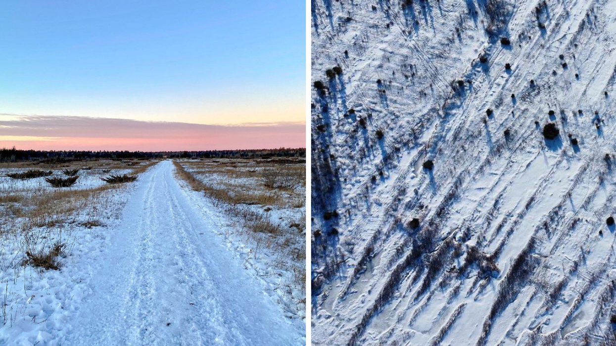 This Easy Hiking Trail Near Ottawa Feels Like You're Wandering Through A Polar Desert