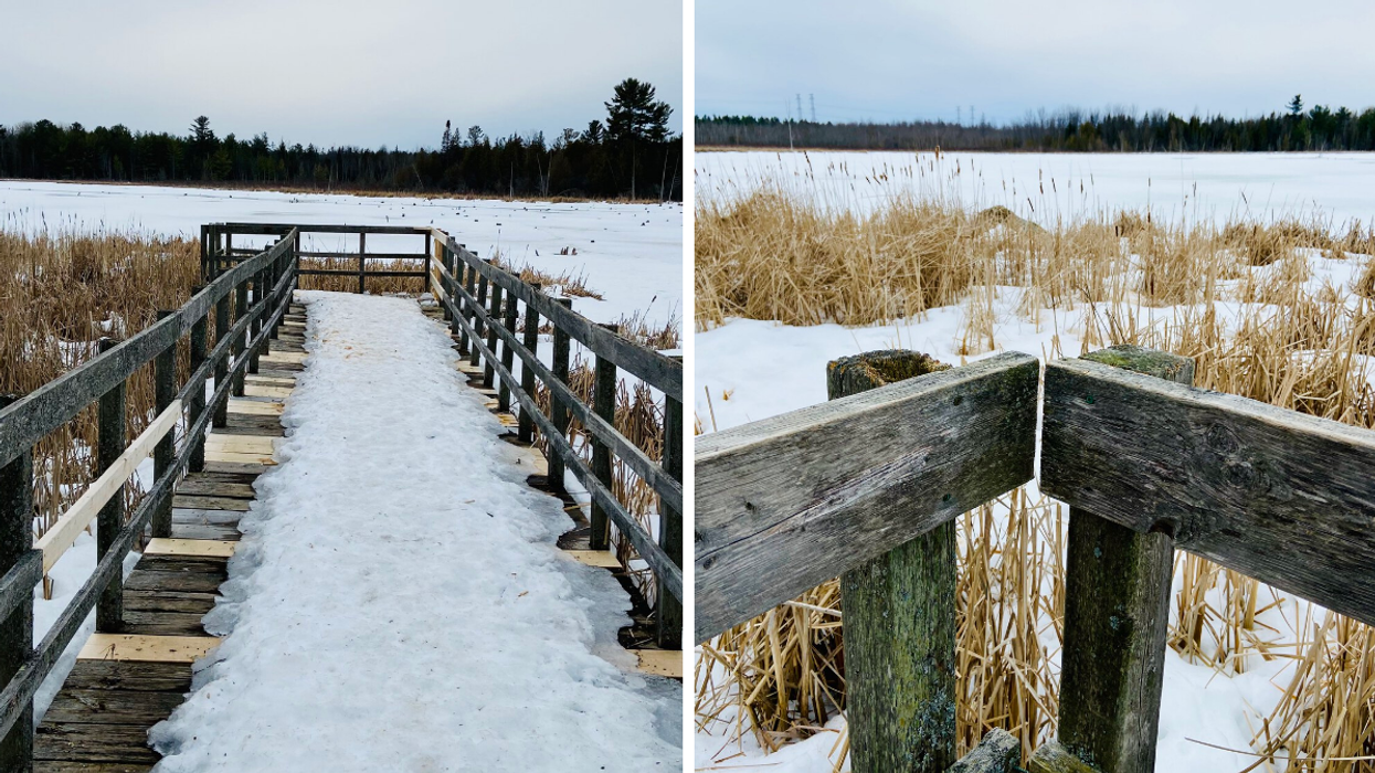 This Easy Ottawa Trail Goes Over The Water & Is Perfect For Your Friends Who Hate Hiking