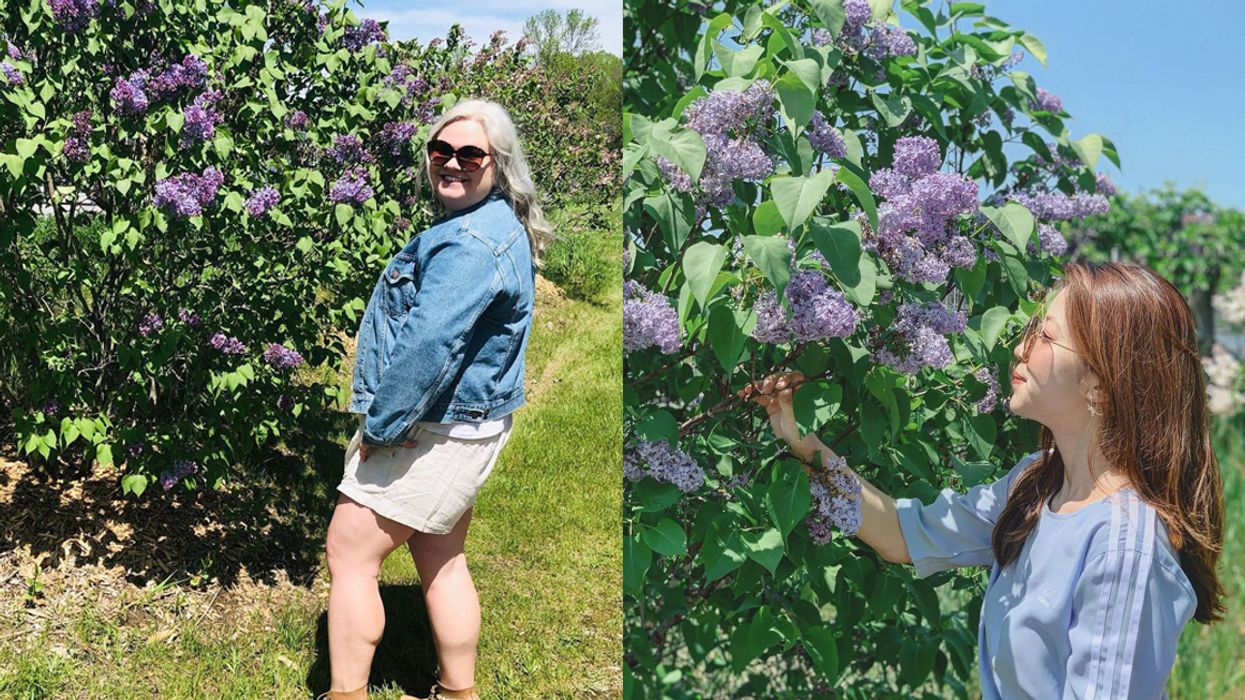 This Enchanting Ontario Lilac Trail Has 300+ Purple Blooming Plants