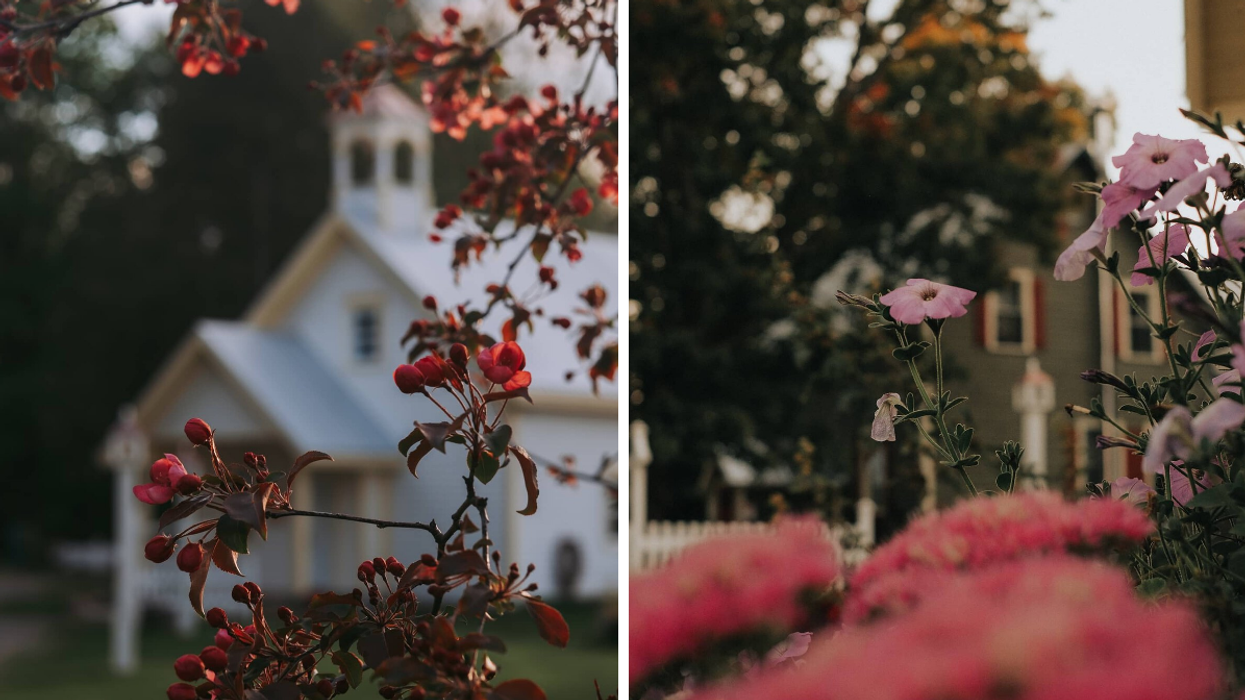 This Farm Near Ottawa Is Like Walking Into The Past Through A Garden Of Colourful Blooms