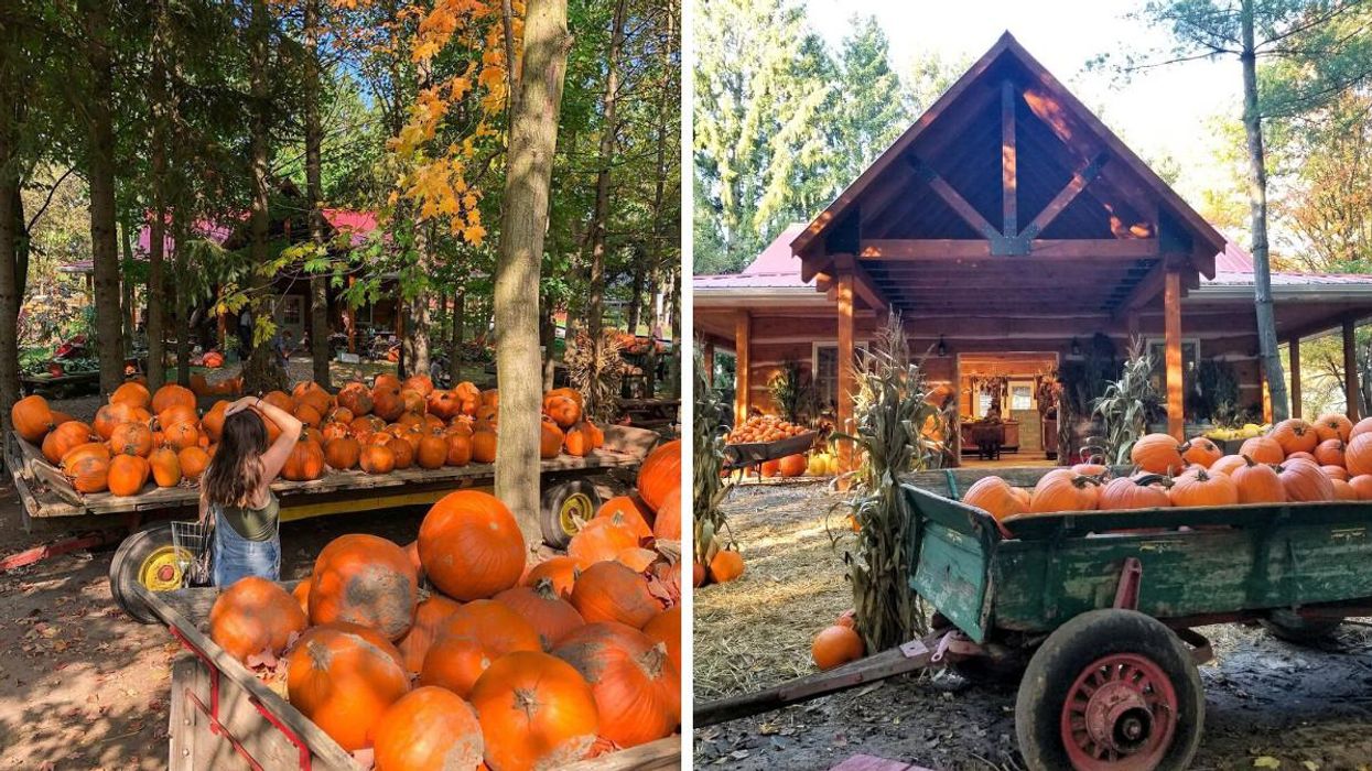 This Farm Near Toronto Has Pumpkin Spice Everything & It's Like Being In A Fall Fairytale