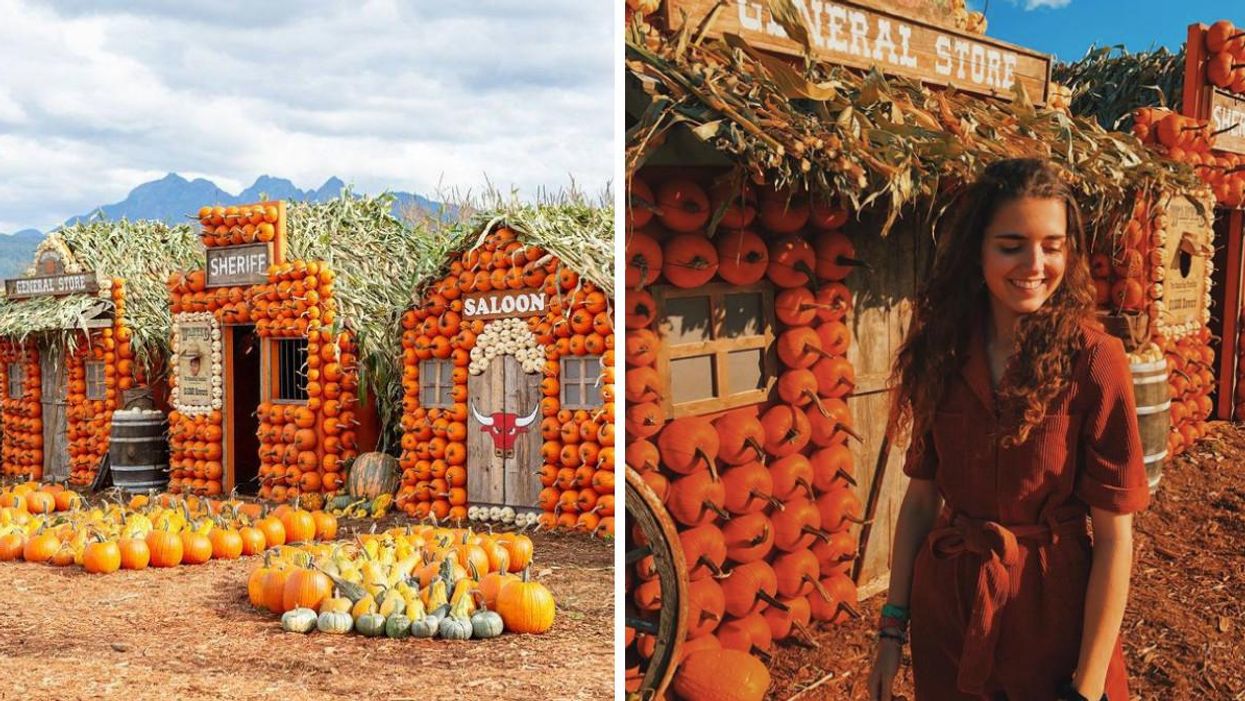 This Farm Near Vancouver Has Been Transformed Into A Pumpkin Town & It's A Fall Fairytale