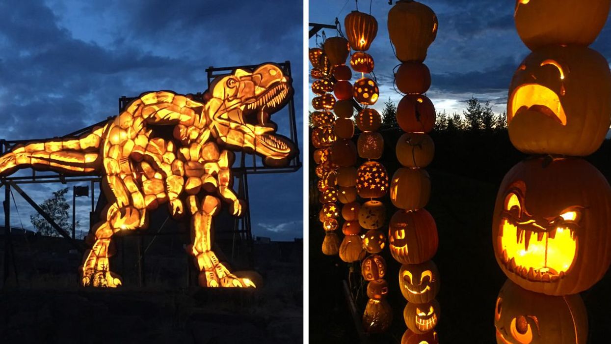 This Halloween Event In Ontario Will Have A Magical Trail Of Over 3,000 Glowing Pumpkins