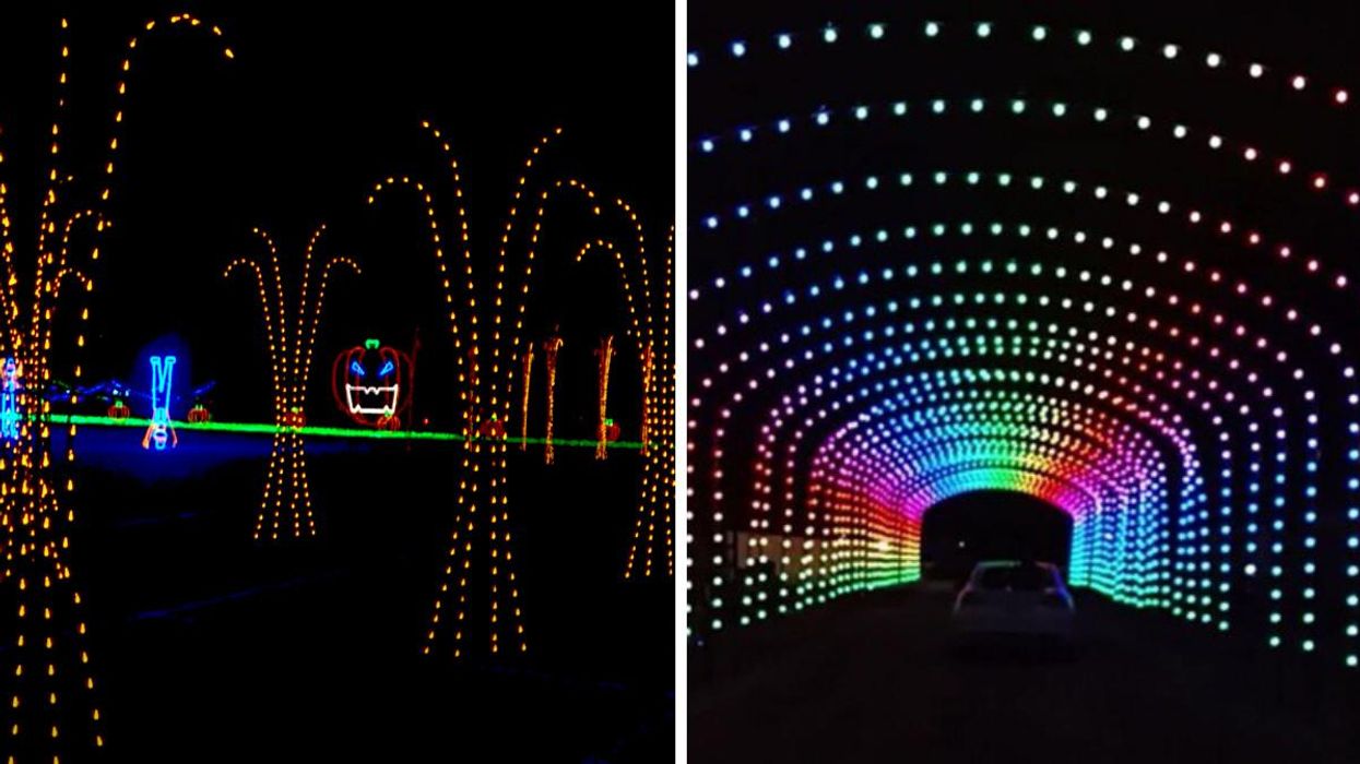 This Halloween Event Near Toronto Has Over 1 Million Lights & A Laneway Full Of Candy