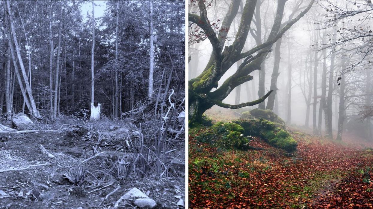 This Haunted Escape Game In Ontario Traps You In A Dark Forest With A Sinister 'Follower'