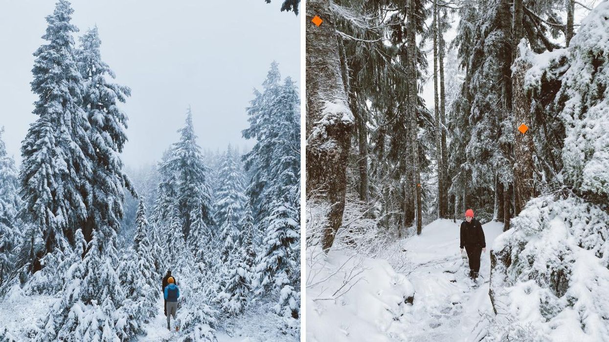 This Hike Is 30 Minutes From Vancouver & It's Like Walking In A November Winter Wonderland