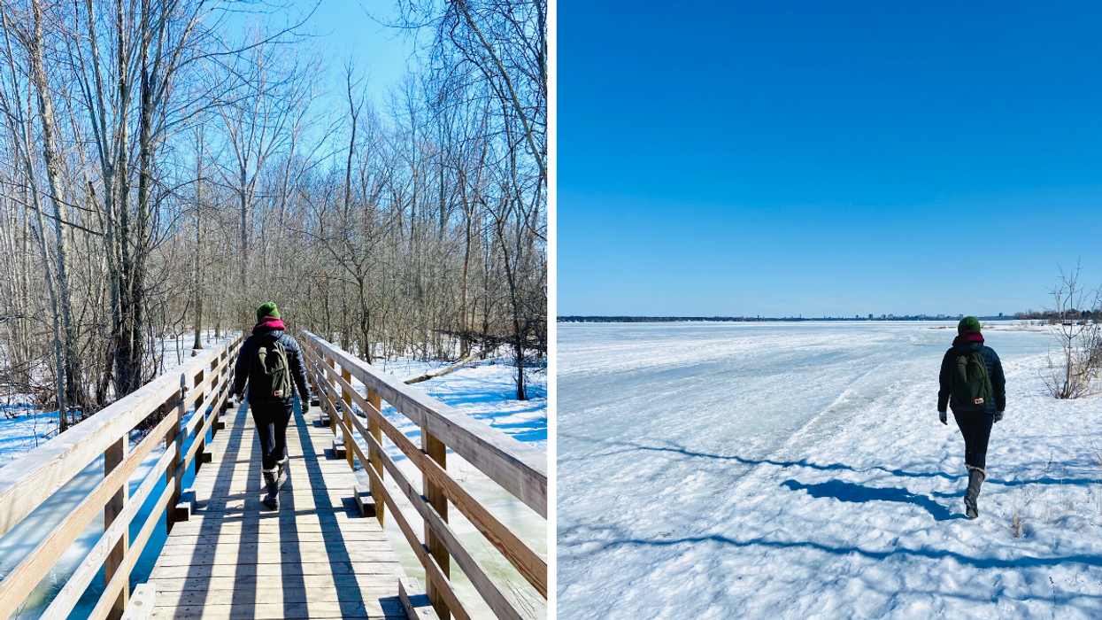 This Hiking Trail In Ottawa Has Boardwalk Bridges & Lookouts Over A Frozen River