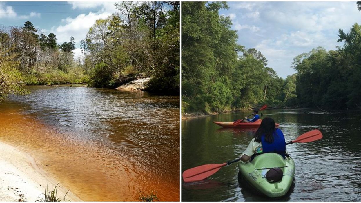 This Incredible Black River Is A 2-Hour Road Trip Away From New Orleans
