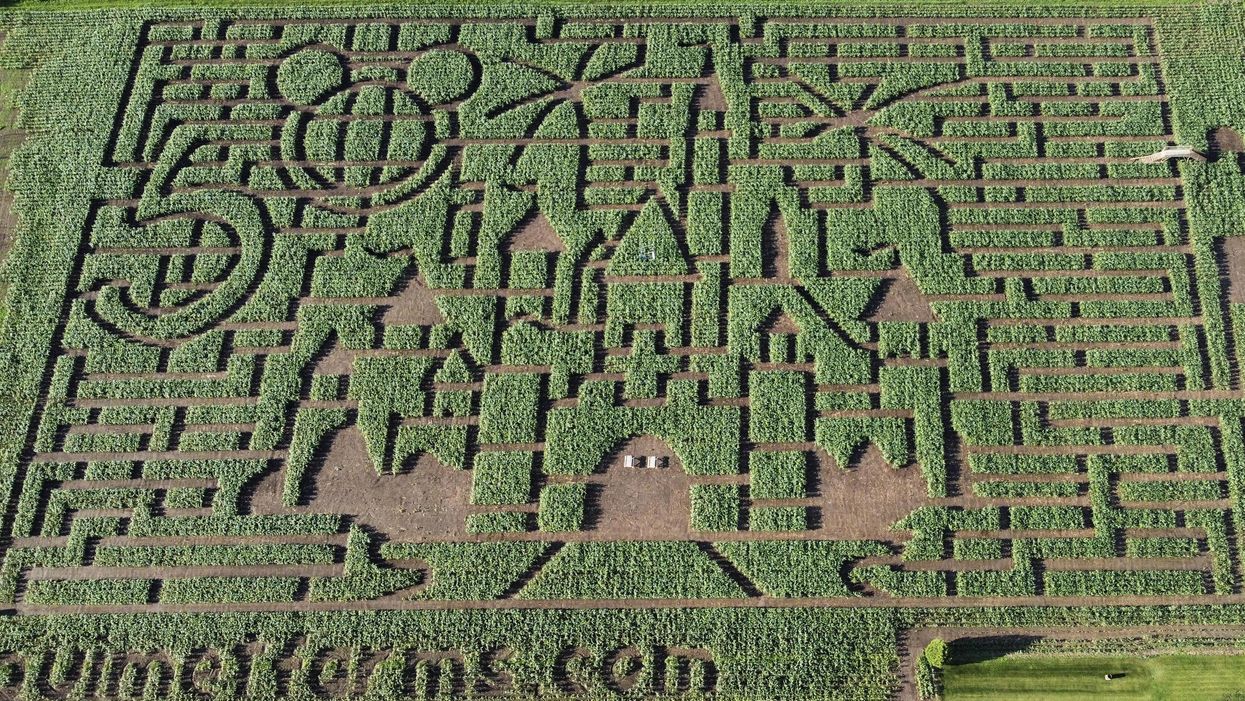 This 'Magic Kingdom' Maze Near Ottawa Is Perfect For Disney Fans
