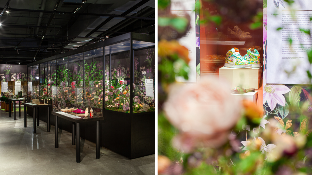 This New Exhibition In Toronto Is Simply Enchanting