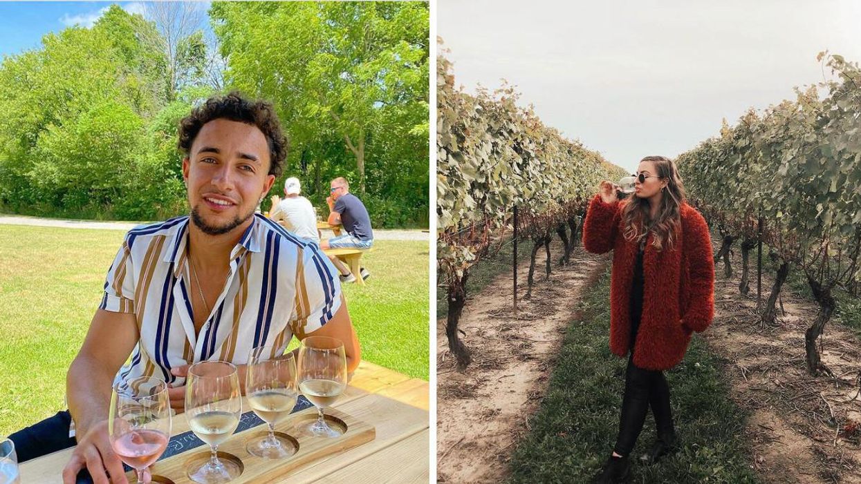 This Niagara Winery Bus Tour Will Take You On A Boozy Day Trip From Toronto To The Vineyard