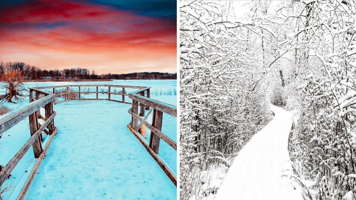 This Ontario Boardwalk Takes You Through A Shimmering White Forest & Over A Frozen Lake