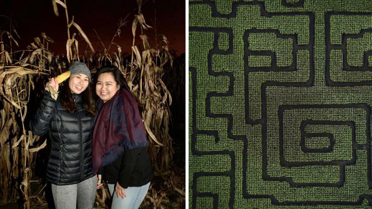 This Ontario Corn Maze Is Open After Dark & You Only Have A Flashlight To Help You Escape