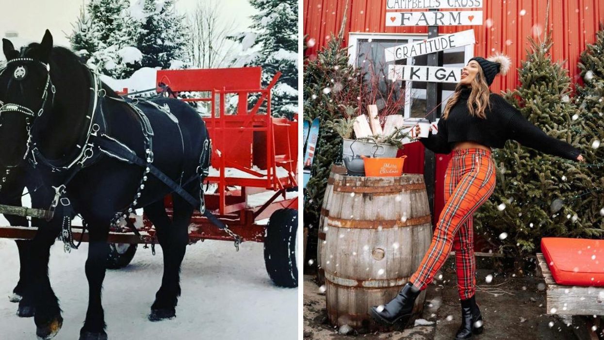 This Ontario Farm Is Transforming Into A Mini North Pole With Wagon Rides & Festive Treats