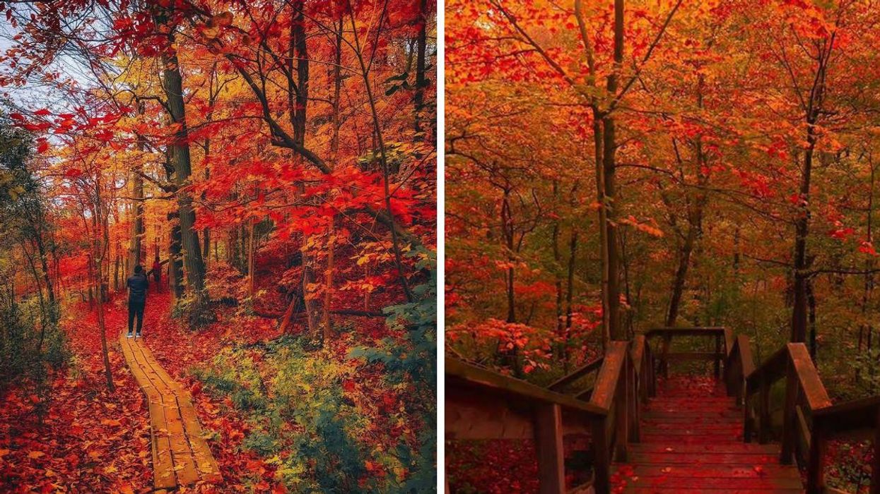 This Ontario Hike Leads Through A Leafy Valley With Woodland Staircases & Boardwalks
