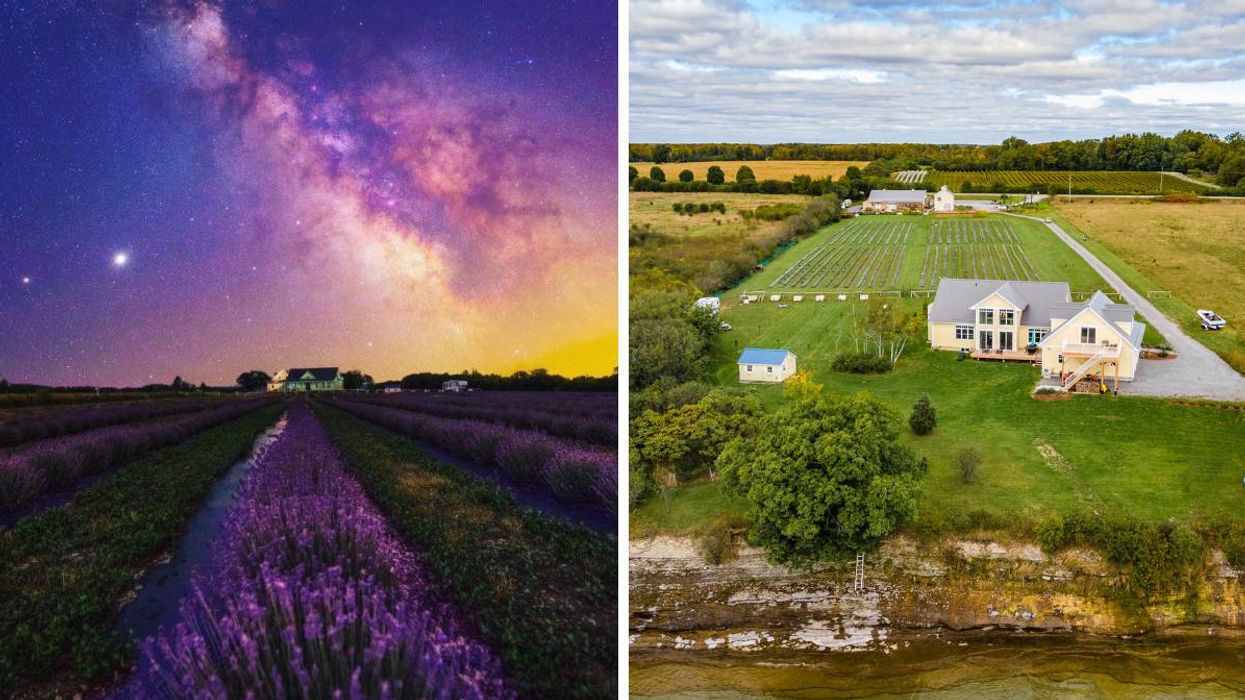 This Ontario Home For Sale Is Surrounded By A Lavender Dreamland & Is Right On The Water