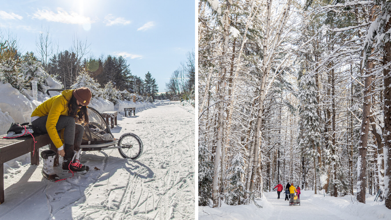 This Ontario Skating Trail Will Let You Glide Through A Magical Forest For Free