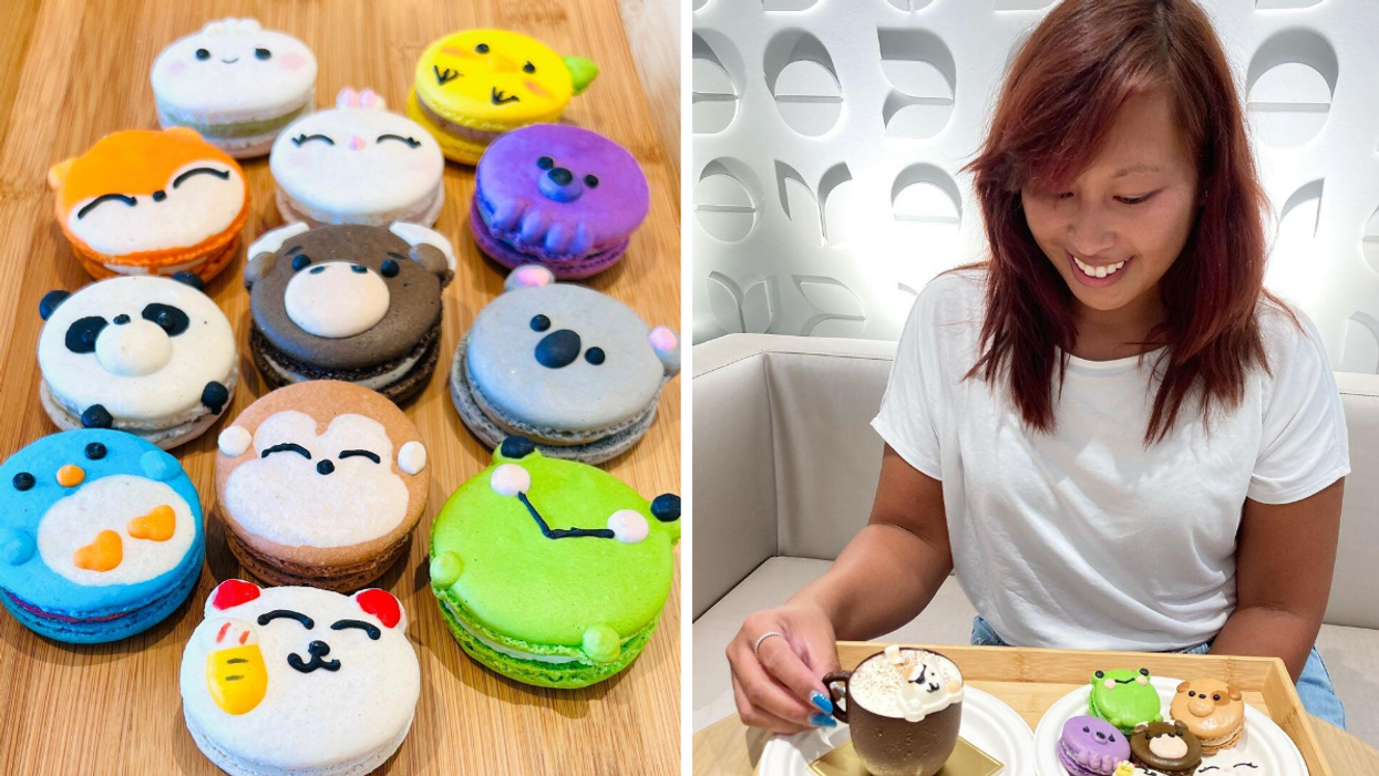 This Ottawa Cafe Has Animal Macarons & 'Tirameowsu' Treats That Are Too Cute To Eat