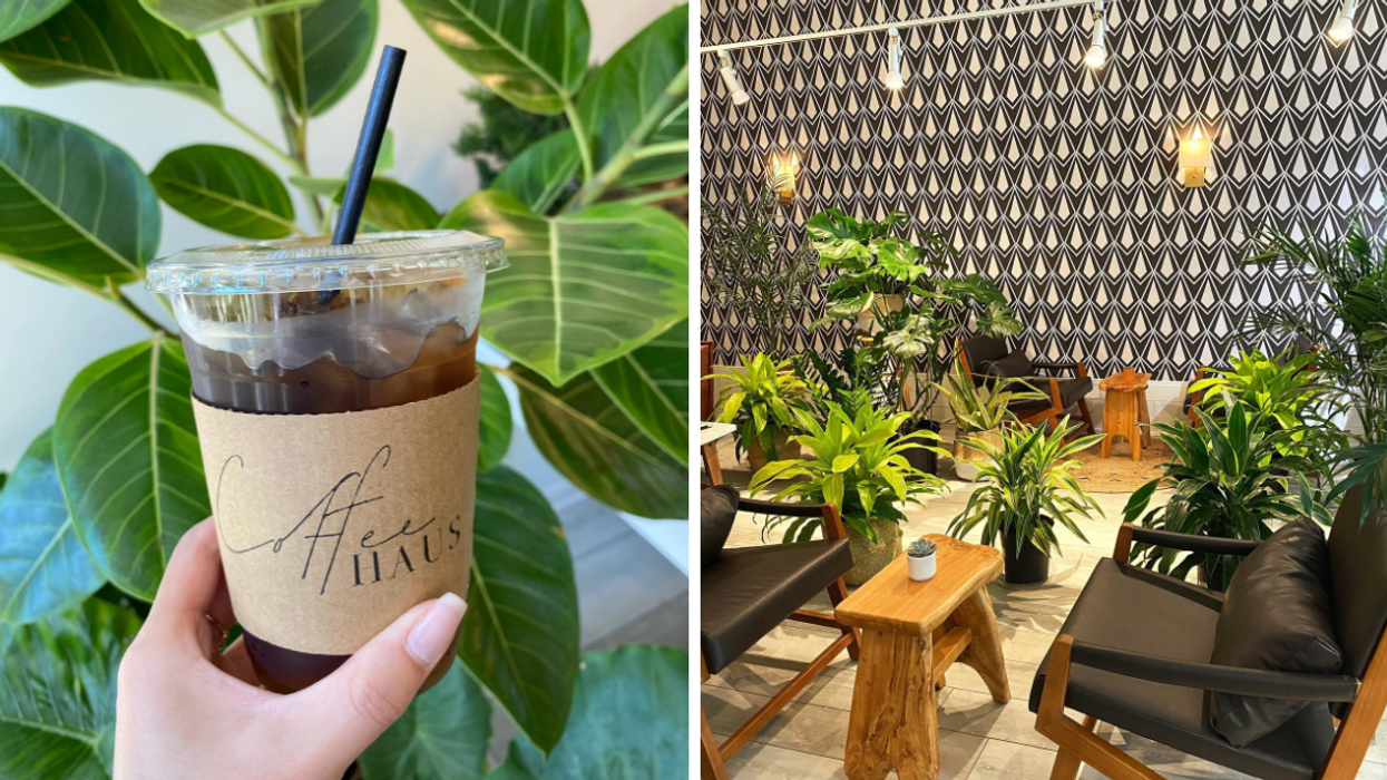 This Ottawa Café Is An Oasis Of Tropical Plants Where You Can Shop With A Coffee