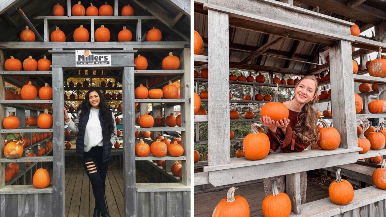 This Ottawa Farm Has An Adorable Pumpkin House & Corn Maze You Can Explore