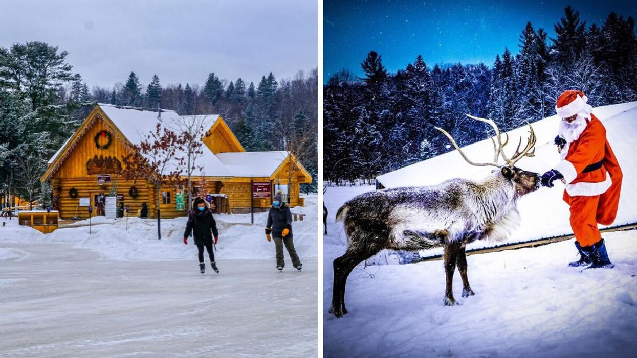 This Park Near Ottawa Has Turned Into Its Own Mini North Pole With Actual Reindeer