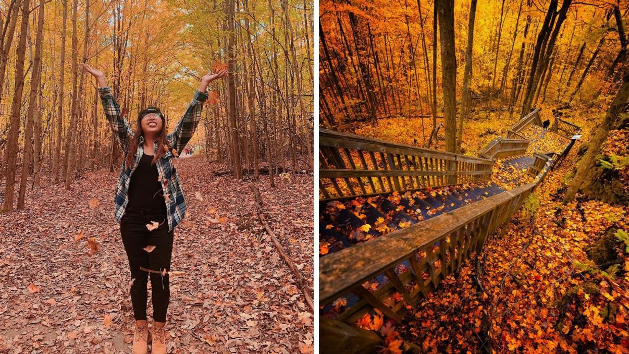 This Provincial Park In Ontario Has A Staircase Trail Through A Fall Dreamland