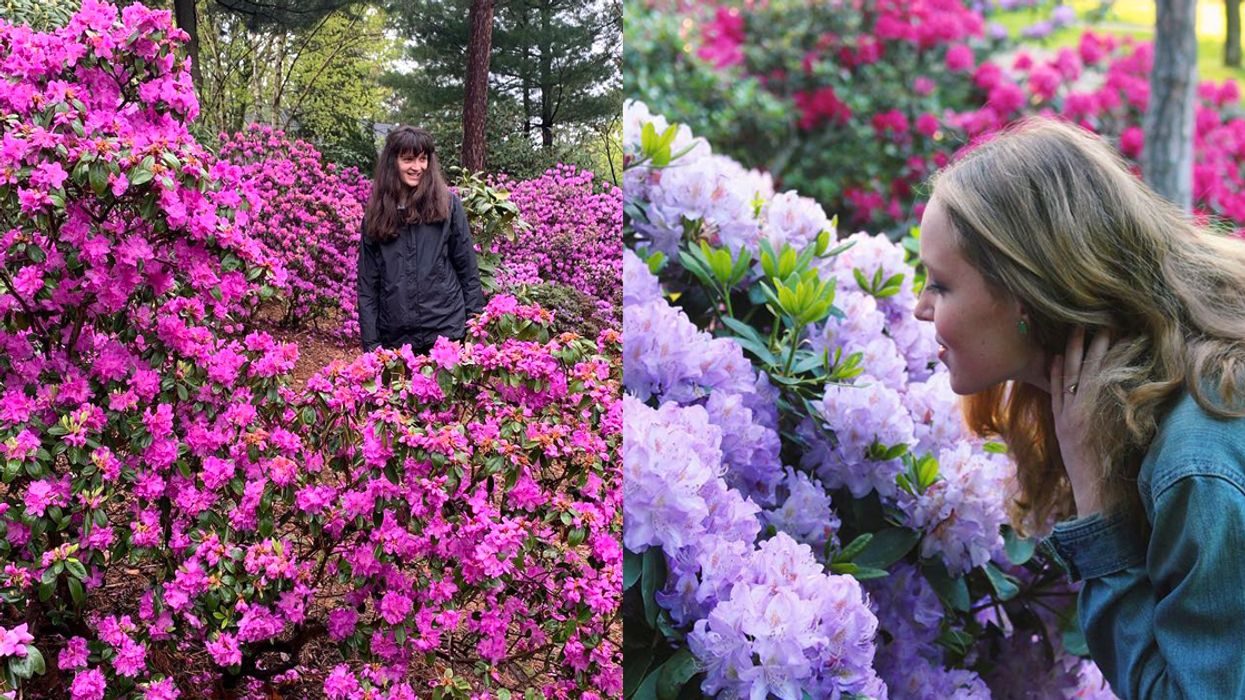 This Secret Flower Garden In Ontario Has A Sea Of Pink Flowers