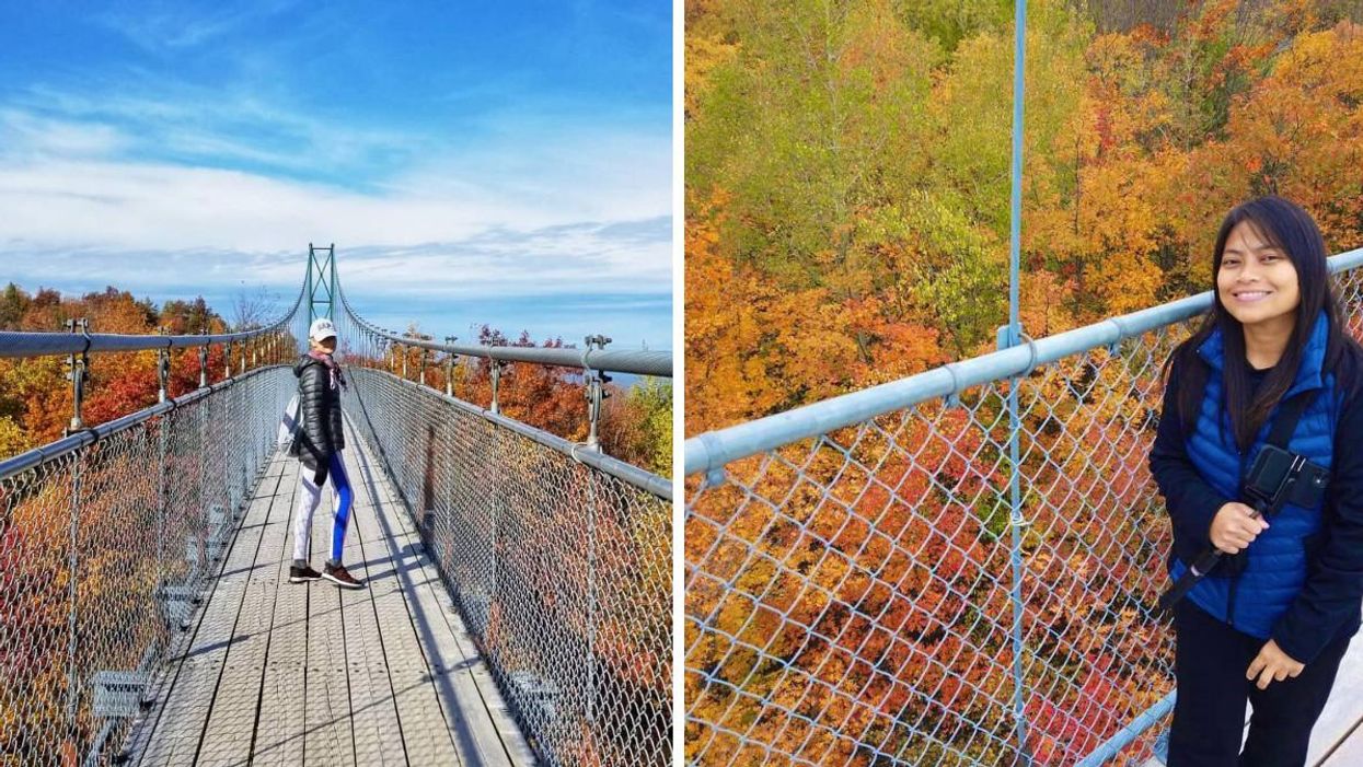 This Suspension Bridge In Ontario Will Let You Walk In The Sky Above The Autumn Leaves