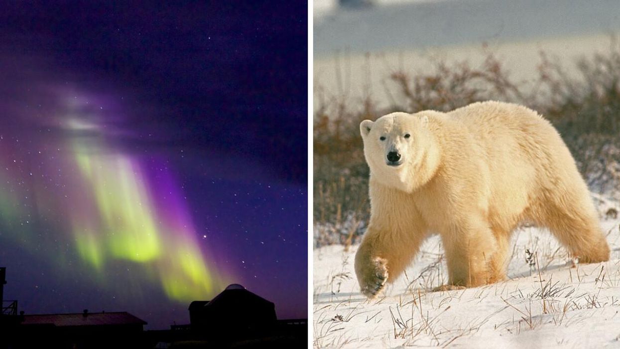 This Tiny Manitoba Town Was Voted One Of The Best Spots In Canada & It Looks So Magical