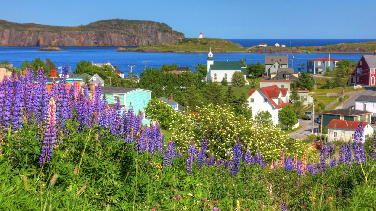 This Tiny Newfoundland Town Was Voted One Of The Best Spots In Canada & These Pics Prove It