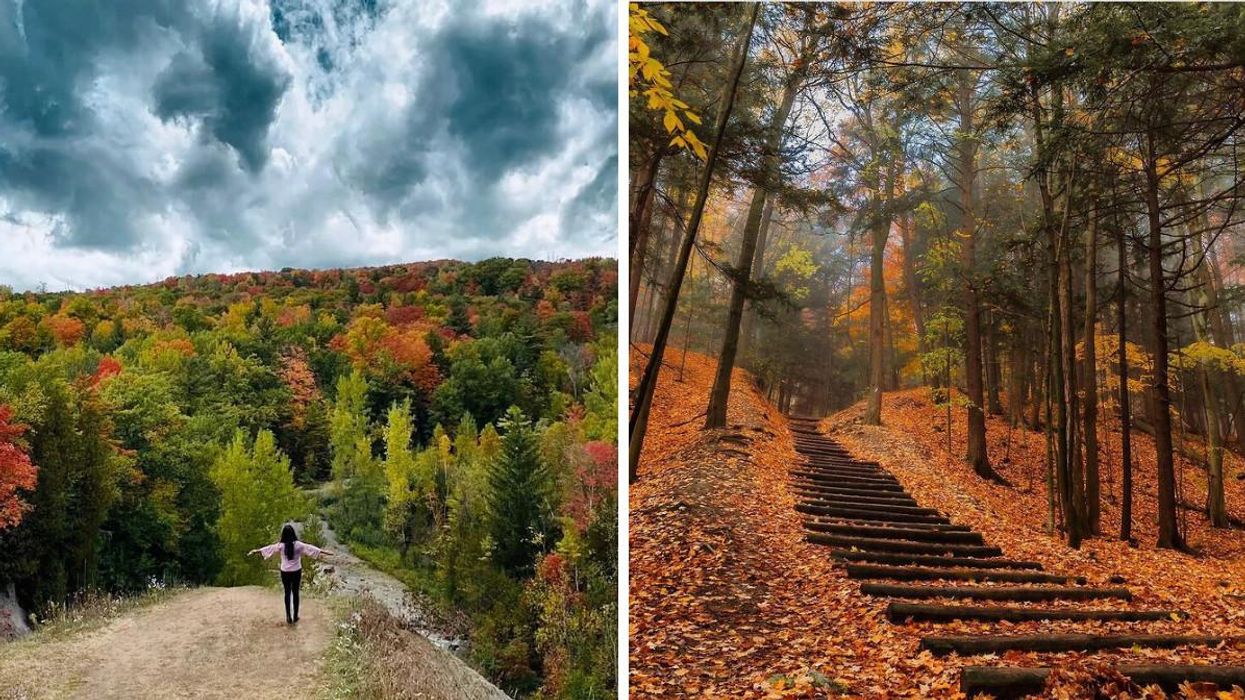 This Toronto Park Has Breathtaking Fall Views & A Trail Lined With Apple Trees