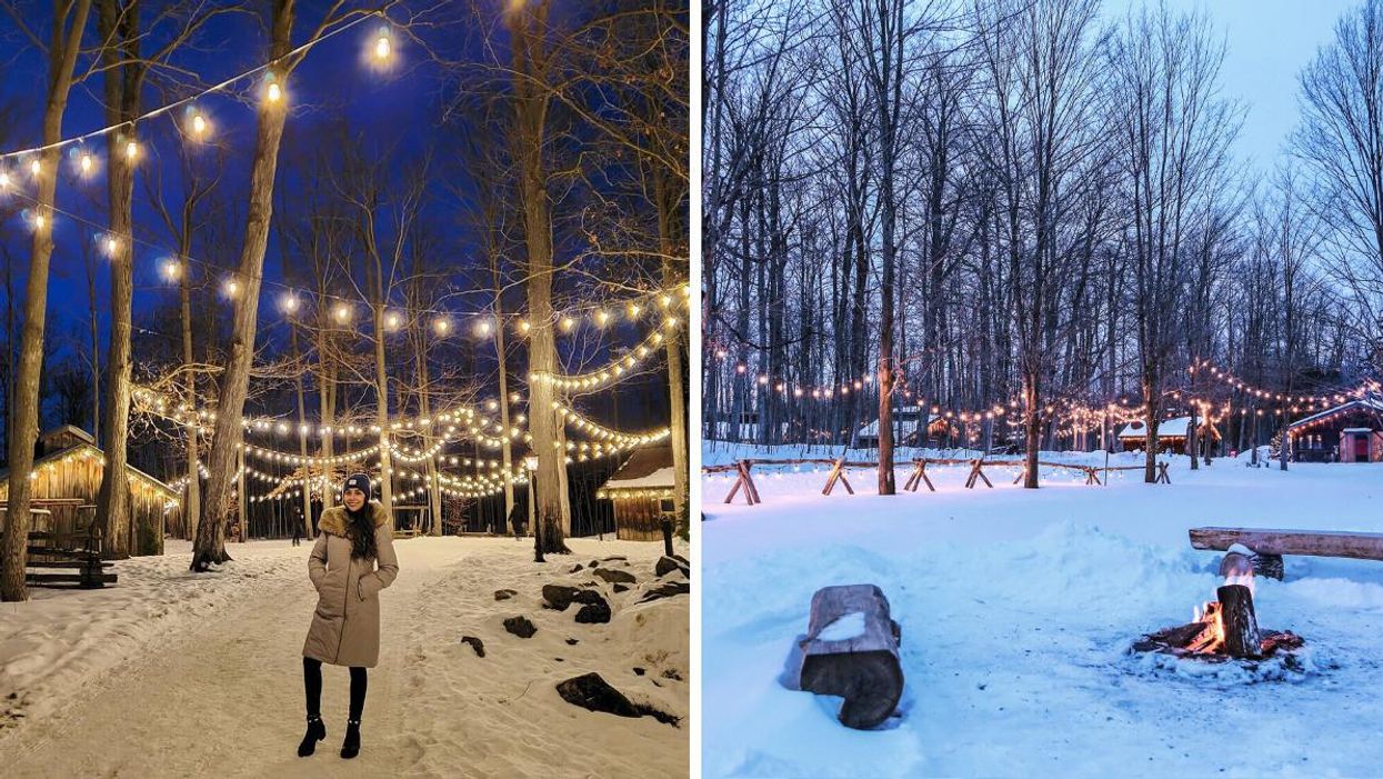 This Trail Near Toronto Leads You Through An Illuminated Forest & Is Better Than Ever