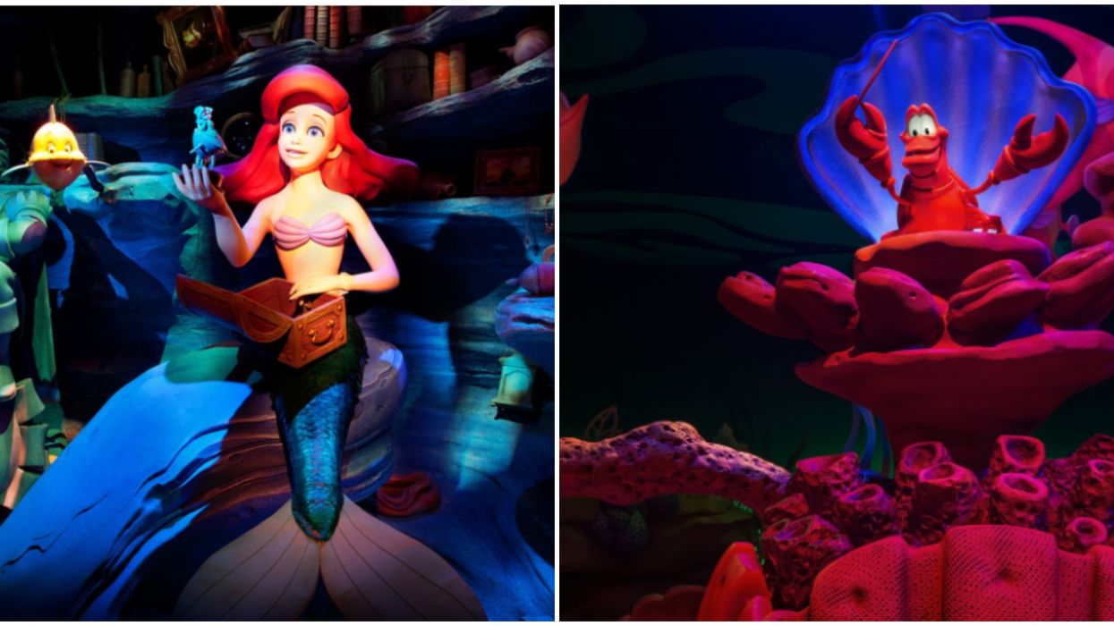 Library Ariel Ariel Disney World Ride
