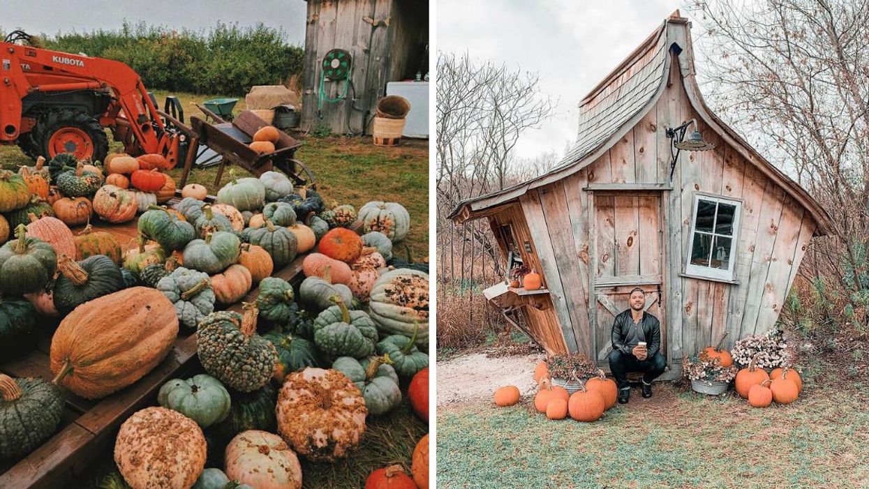 This Whimsical Farm Near Toronto Has Pumpkin Picking & Apple Cider You Can Sip By A River