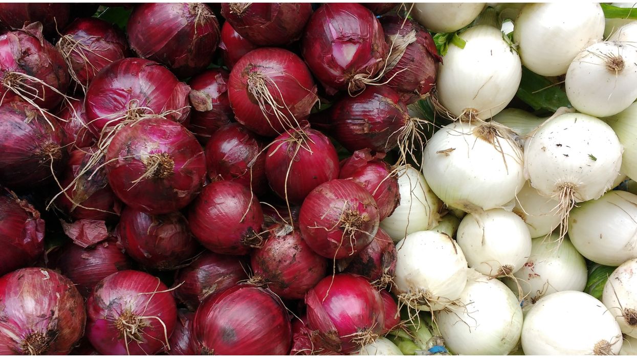 Thompson International Onion Recall Based In California Is Behind The Salmonella Outbreak