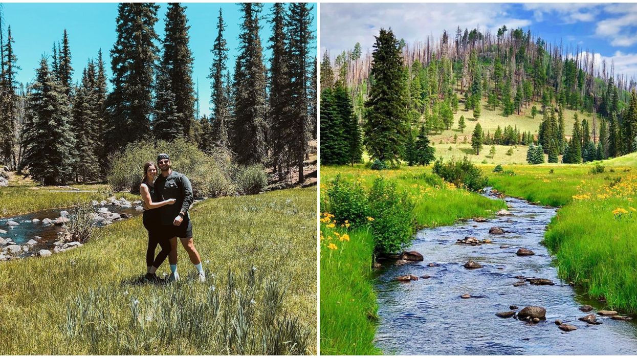 Thompson Trail In Arizona Takes You On A High Country Adventure Outside Of The City