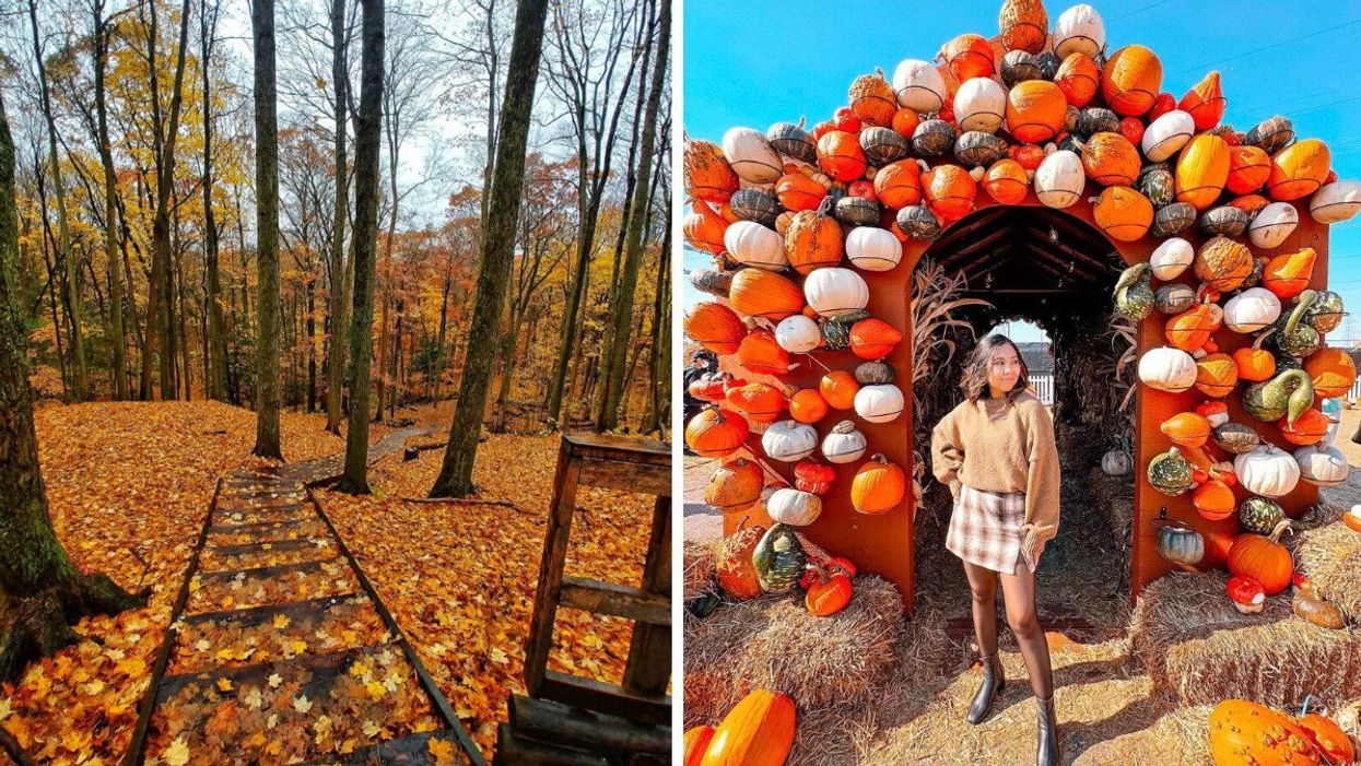 Thornton Bales Conservation Area. Right: Pumpkinville.